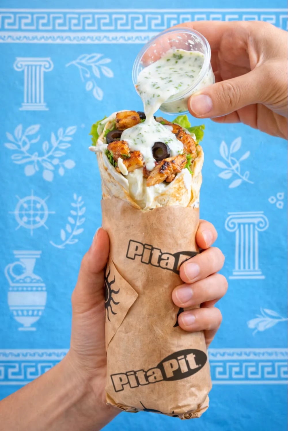 Pita of the Day - Chicken Caesar