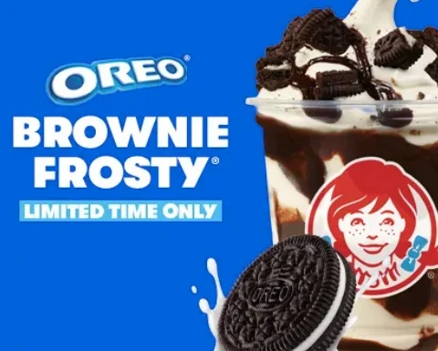 Cookies-n-cream-n-brownie-n-Frosty